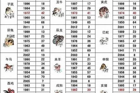 2011兔年|2011出生属什么生肖查询，2011多大年龄，2011今年几岁